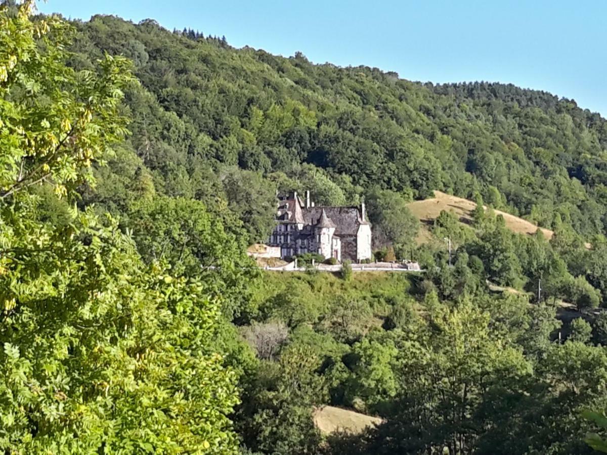 Chateau De Courbelimagne, Raulhac Экстерьер фото